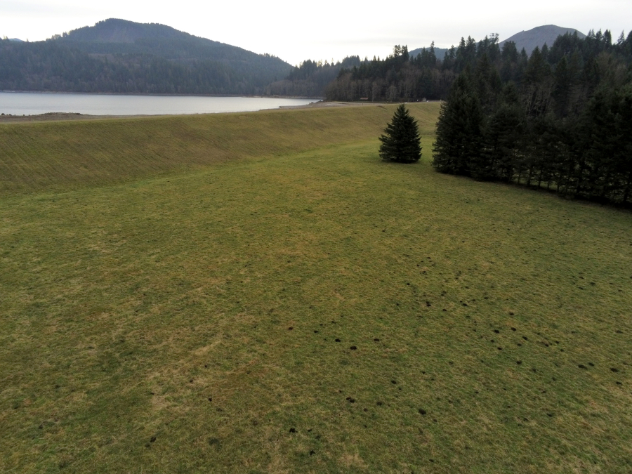 Saddle Dam on Yale Lake, one of three large reservoirs on the North Fork of the Lewis River, will be retrofitted due to seismic concerns, leading to park closures and a temporary displacement of nearby elk habitats.