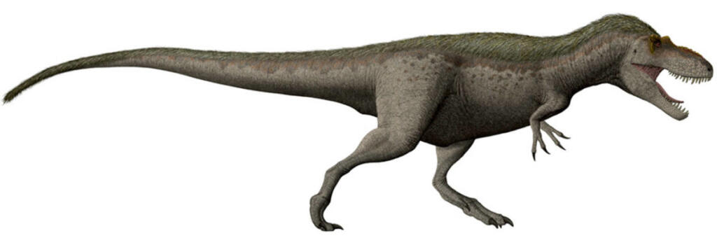 This image shows a restoration of a Daspletosaurus torosus, whose nickname is Suciasaurus rex.