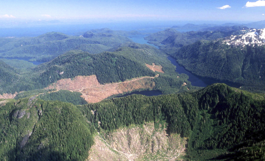 This 1990 aerial file photo, shows a section of the Tongass National Forest in Alaska that has patches of bare land where clear-cutting has occurred. The federal government plans to reinstate restrictions on road-building and logging on the country's largest national forest in southeast Alaska, the Tongass National Forest.