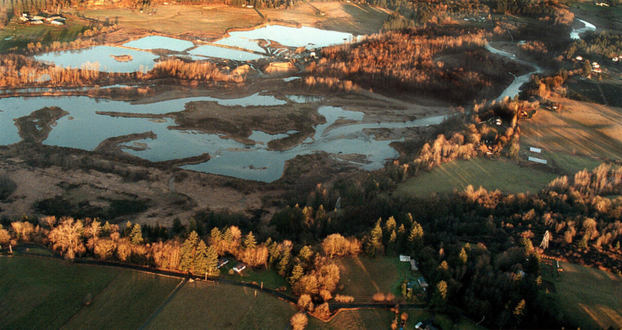 An aerial view shows flooded abandoned gravel pits along the East Fork of Lewis River west of Daybreak Park in north Clark County.  The river, winding at far right, flows into the pit area and widens considerably, slowing down and heating up during summer months.