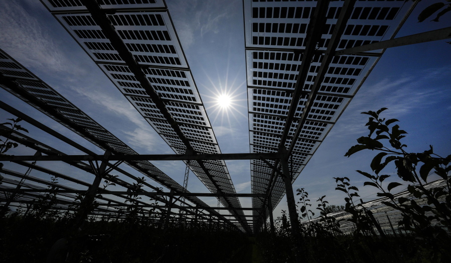 File - Special mounted solar panels are installed over a biological apple fruit tree plantation in Gelsdorf, western Germany, Tuesday, Aug. 30, 2022. A South Korean solar panel maker will invest more than $2.5 billion to build factories in Georgia, hiring 2,500 new employees and making components usually manufactured outside the United States, the company announced Wednesday, Jan. 11, 2023.