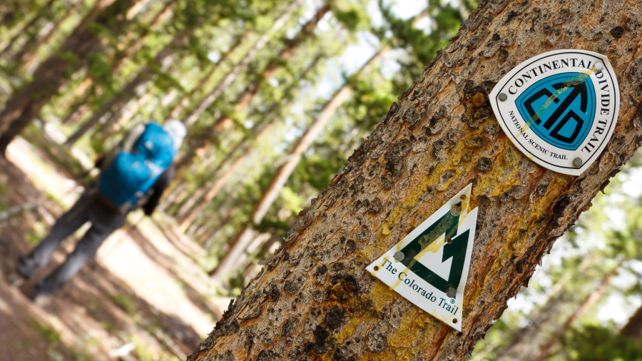 Continental Divide Trail and Colorado Trail signage on a tree.