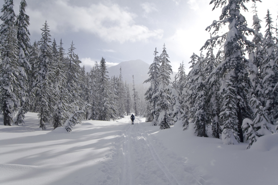 Cross country skiing near Mount Bachelor in Oregon's central Cascades.