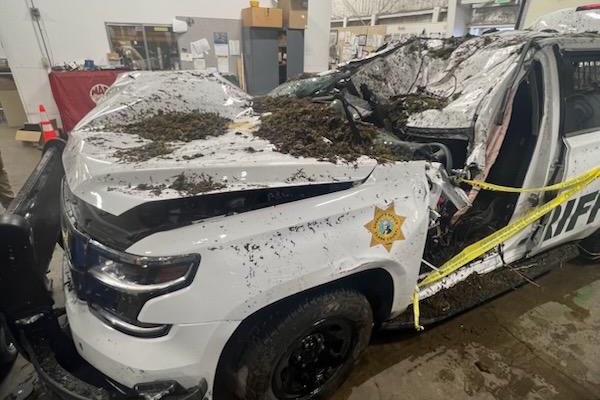 Drew Kennison, a 14-year veteran of the Clark County Sheriff's Office, was the injured in the incident yesterday. His patrol vehicle was damaged when a tree fell on it in Skamania County.