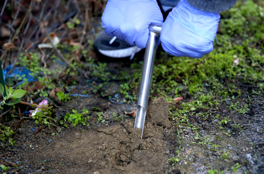 Guadalupe Valdovinos uses a probe to collect a soil sample from her family???s backyard in East Los Angeles.
