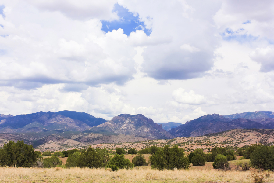 A view of New Mexico's Gila Wilderness from the Aldo Leopold Vista Picnic Area.