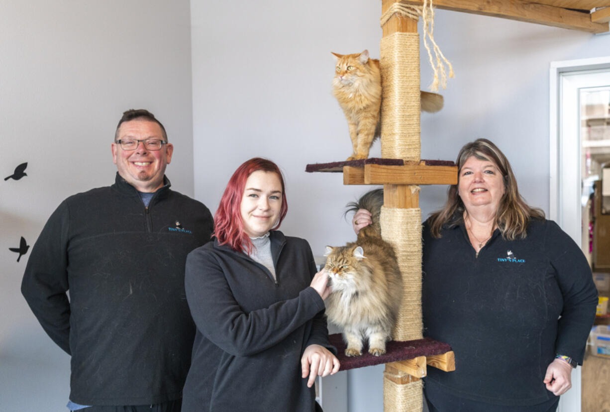 Associate facility manager Kendrick Johnsen, left, cattery assistant Aubrey Redfern, center, and owner Denise Saxon, right, are proud to serve Clark County cats like Peanut, top and June at Tiny's Place Luxury Cat Boarding in Hazel Dell.