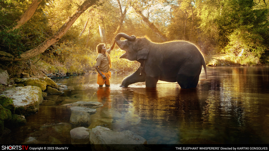 An orphaned and rescued Indian youngster is the star of "The Elephant Whisperers." (Shorts TV)