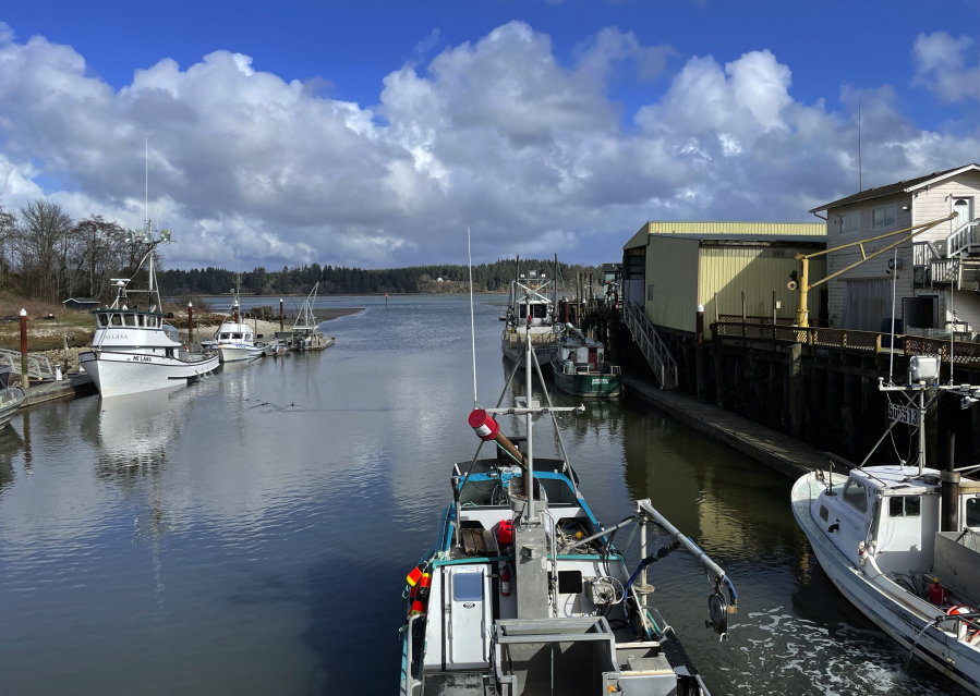 Oysters and fishing are the two mainstays of the economy of Bay Center in southwest Washington. In this port area, crab boats that work the winter harvest unload their catch as they come back from harvest areas.