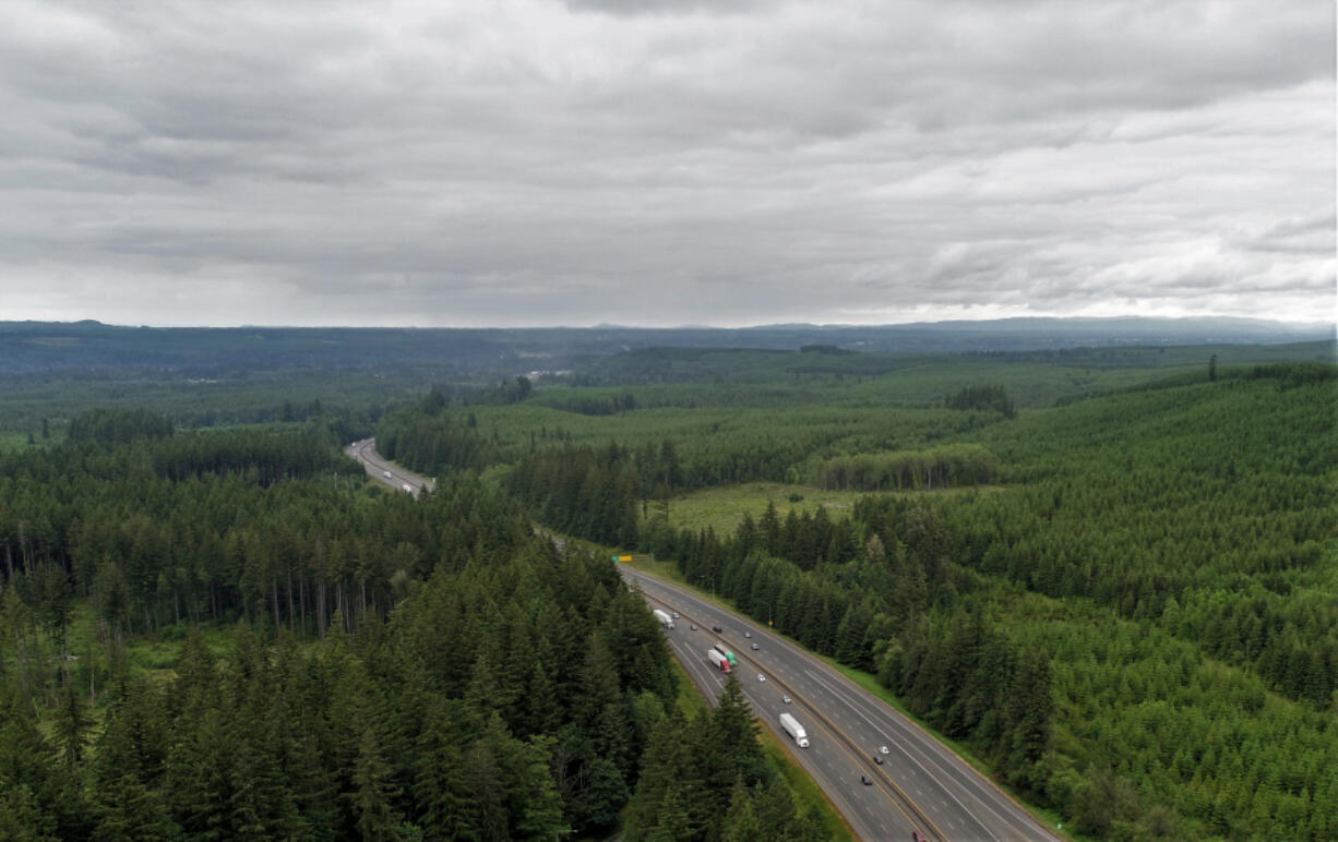 Interstate 5 slicing through dense woods near Castle Rock in Cowlitz County, as seen from a drone shot taken from a Toutle River rest area. The area could host wildlife crossings, connecting habitats between the Cascade Mountains and Olympic Peninsula.