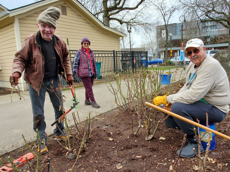 The Vancouver community gardens at Esther Short Park and Covington House were pruned and spring-cleaned on March 11.