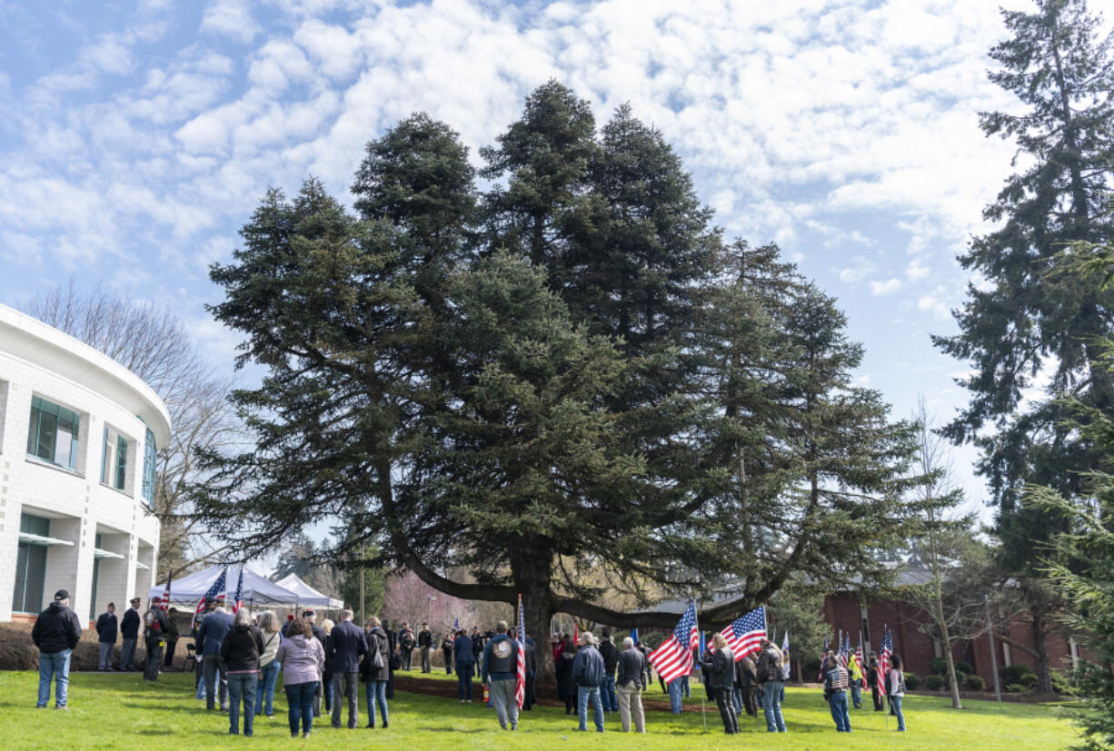 Attendees stand around a Turkish fir, which was designated as a Vietnam Veteran Witness Tree, on Wednesday during a Vietnam War Veterans Day event at Clark College.