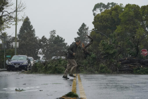 A tree downed by high winds blocks Webster Street in Oakland, Calif., Tuesday, March 21, 2023. (AP Photo/Godofredo A.