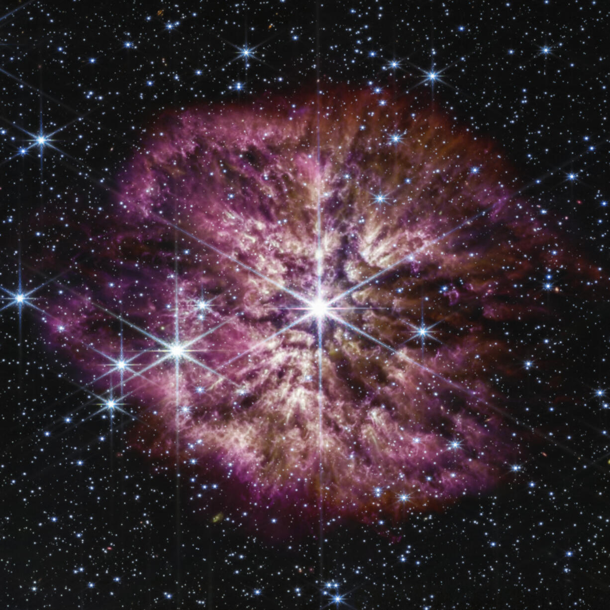The star Wolf-Rayet 124, center, captured by the James Webb Space Telescope in June. A surrounding nebula is made of material cast off from the aging star in random ejections, and from dust produced in the ensuing turbulence. The telescope captured the rare and fleeting phase of the star on the cusp of death.