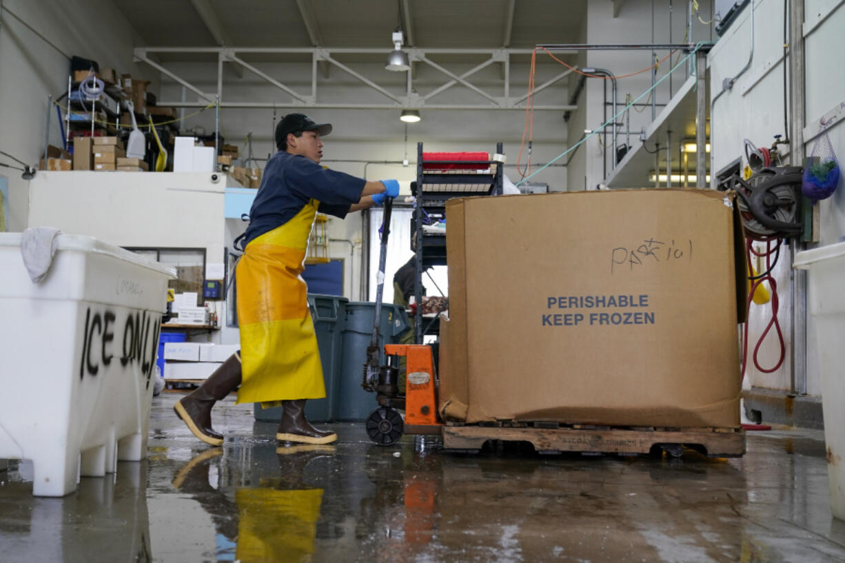 A worker moves fish into a freezer at Costarella Seafoods on Pier 45 in San Francisco, Monday, March 20, 2023. On April 7, the Pacific Fishery Management Council, the regulatory group that advises federal officials, will take action on what to do about the 2023 season for both commercial and recreational salmon fishing. (AP Photo/Godofredo A.