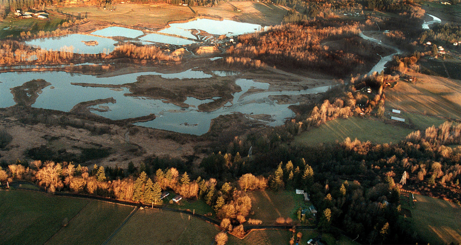 An aerial view of the area of the East Fork of the Lewis River near the old gravel pit west of Daybreak Park and east of Mason Creek.  The floods of 1996 ravished the river where it is weakest: near these gravel pits. The river, winding at far right, flows into the pit area and widens considerably, slowing down  and heating up during summer months.
