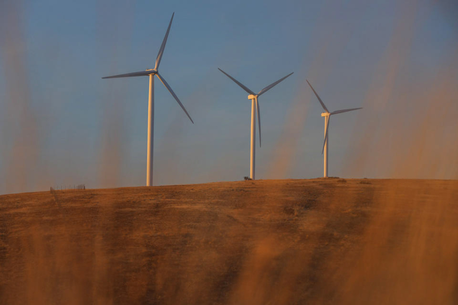 Wind turbines on a hill near Ellensburg, WA, November 19, 2022.