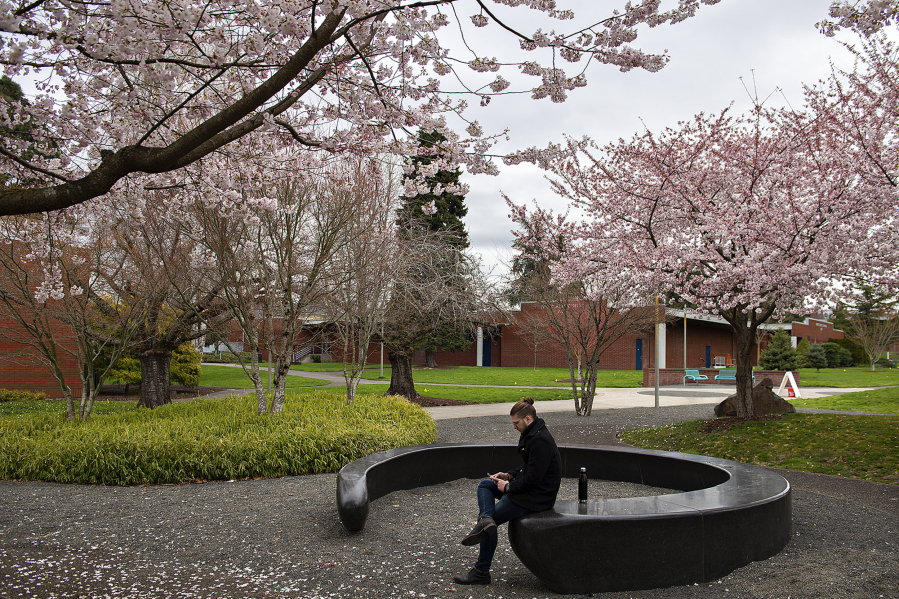 Clark College staff member Kyle Sampson takes a lunch break while surrounded by a canopy of blossoms Wednesday morning. Sampson was among the students and staff who paused to take in the annual sight. "With the tree blossoms coming out, it's the best," he said.