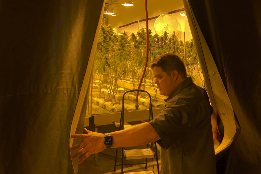 Joseph DuPuis, co-founder of Doc & Yeti Urban Farms, a licensed cannabis producer, looks out into a growing area in Tumwater, Wash., on March 15, 2023. Along the West Coast, which has dominated U.S. marijuana production from long before legalization, producers are struggling with what many call the failed economics of legal pot...a challenge inherent in regulating a product that remains illegal under federal law.