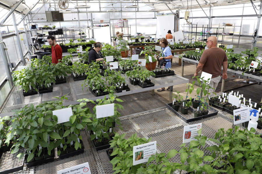 Shoppers peruse the Master Gardener Foundation of Clark County Mothers' Day Weekend Plant Sale in 2017.