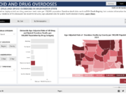 Screen shot from https://doh.wa.gov/data-and-statistical-reports/washington-tracking-network-wtn/opioids/overdose-dashboard