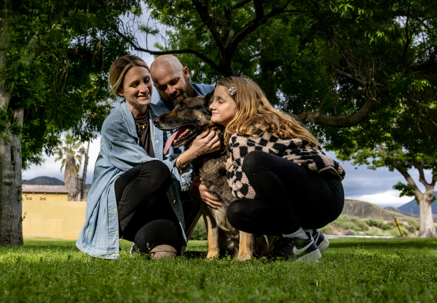 The Bauer family, Trish, 34, Josh, 36, and Lily, 10, hug their rescued German shepherd Cooper at Wildwood Park on May 3 in San Bernardino, Calif. Trish was scrolling on Instagram when she came across a post from a dog rescue that said a 12-year-old, 90 pound German shepherd was going to be euthanized if he didn't find a home soon.