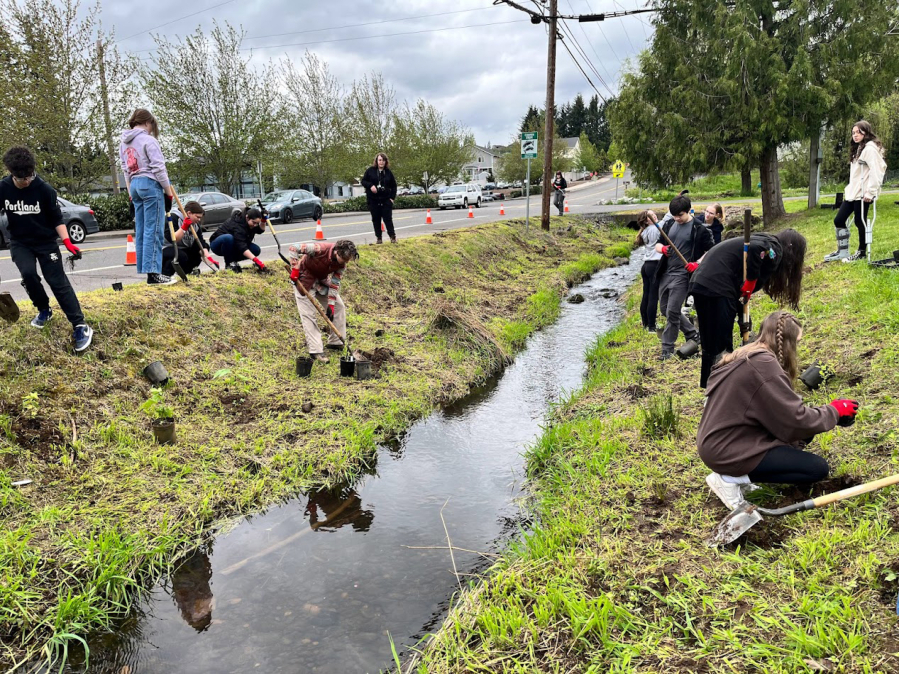 The city of Washougal joined with the Watershed Alliance of Southwest Washington and Washougal High School students May 5 to carry to plant native species along Campen Creek.