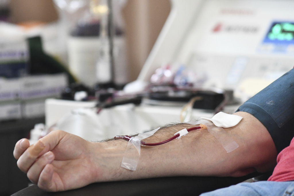 FILE - A person donates blood to the American Red Cross during a blood drive in Pottsville, Pa. on Thursday, Jan. 13, 2022. Gay and bisexual men in monogamous relationships will be able to donate blood in the U.S.