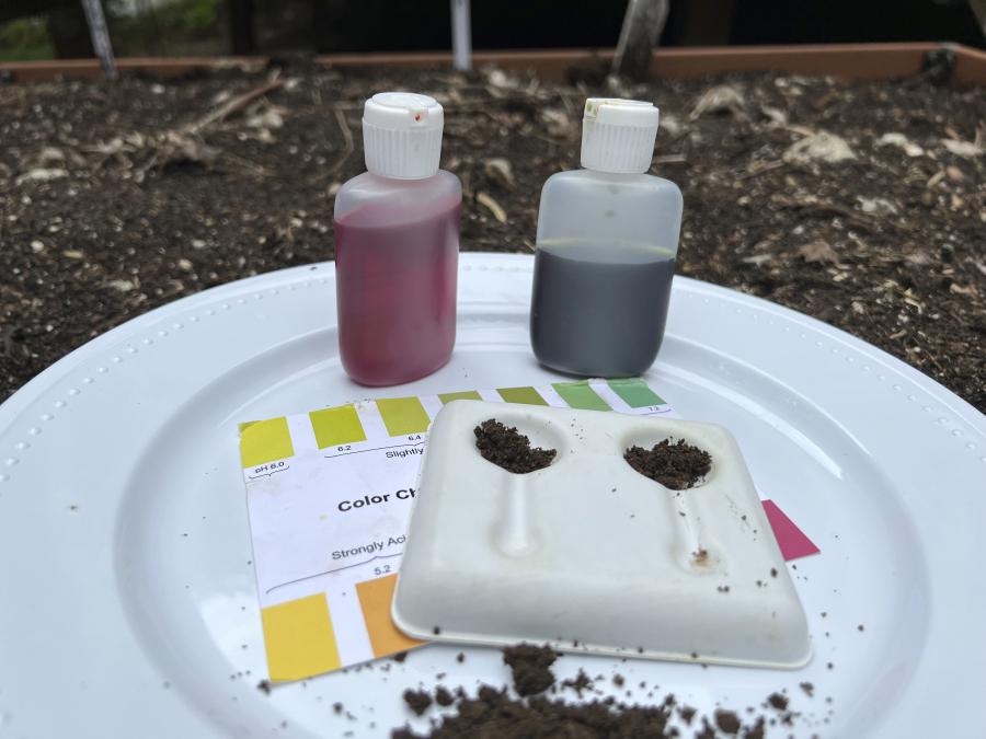 Soil pH test kits can be found at garden centers and online.