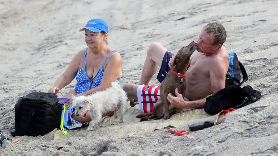 Dogs are not allowed on every beach in South Florida.