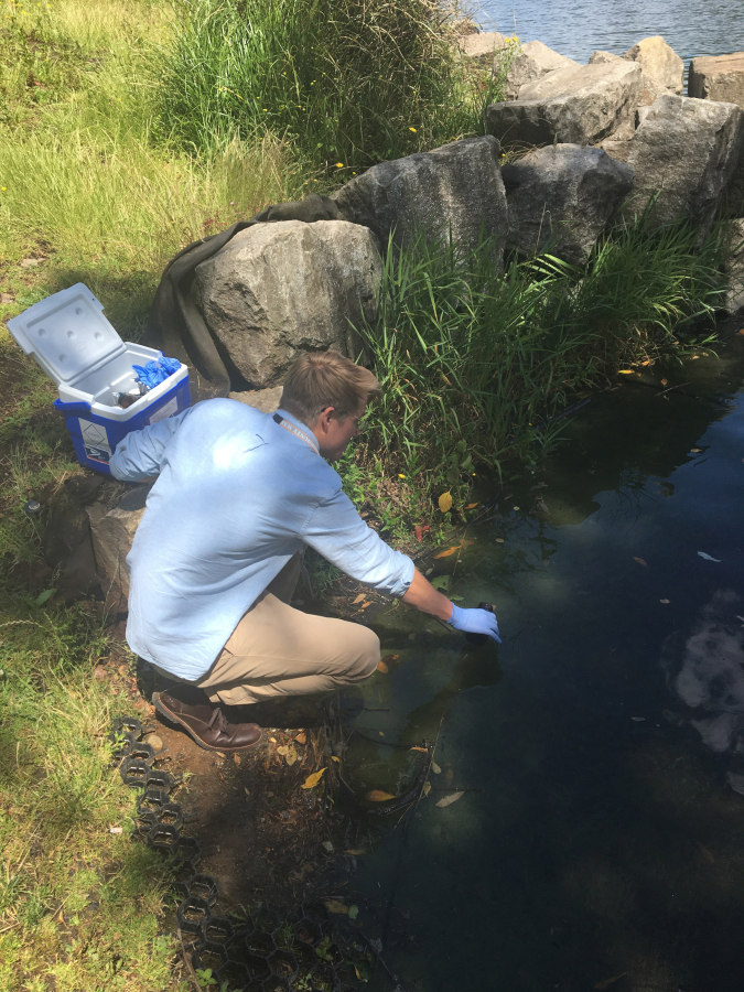 A Clark County Public Health intern samples water from Round Lake after a harmful algae blooms was reported in 2019.