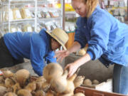 Bi-Zi Farms employees Belle LaSalata and Lily Treloggen ready a pile of gourds for customers at the farm's produce store. The farm's owners say they are still fighting for access to water the farm needs to survive.