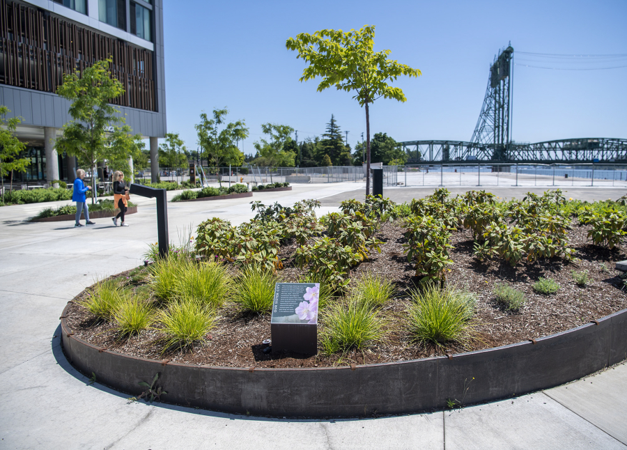 Signage informs pedestrians about some of the plantings at the landing. Several elements at Vancouver Landing are geared toward educating the public about the former industrial site.