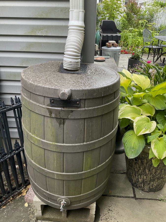 This image provided by Deborah Martin shows a rain barrel connected to a downspout in a garden on June 16, 2023, in Rockville Centre, N.Y.
