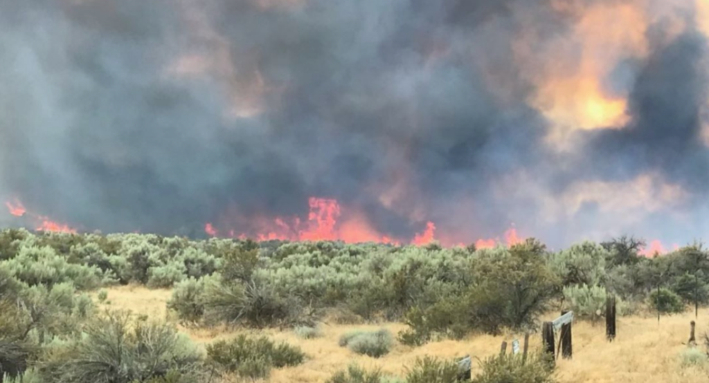 The Hat Rock Fire started earlier this week near Hermiston and crossed into Washington on Wednesday.