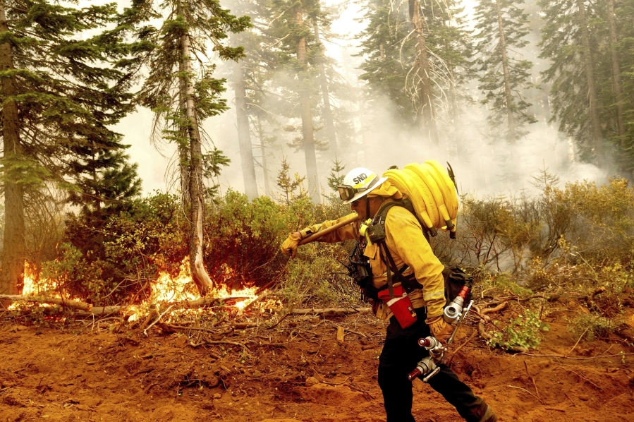 FILE - Fire Battalion Chief Craig Newell carries a hose while battling the North Complex Fire in Plumas National Forest, Calif., on Sept. 14, 2020. The Biden administration is trying to turn the tide on worsening wildfires in the U.S. West through a multi-billion dollar cleanup of forests choked with dead trees and undergrowth.
