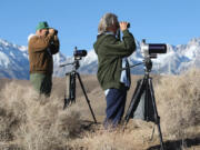Big Pine, California residents Tom and Joanne Heindel scan for birds from an overlook at Tinemaha Reservoir in the Owens Valley in 2009.