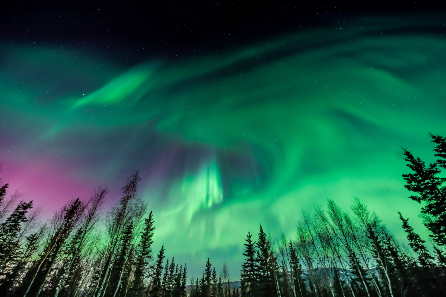 This was taken outside of Fairbanks, Alaska during a strong Aurora storm in January 2016.
