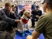 U.S. Navy Sailors hangout with a Mutts with a Mission service dog aboard the USS George Washington at Naval Station Norfolk on July 13.
