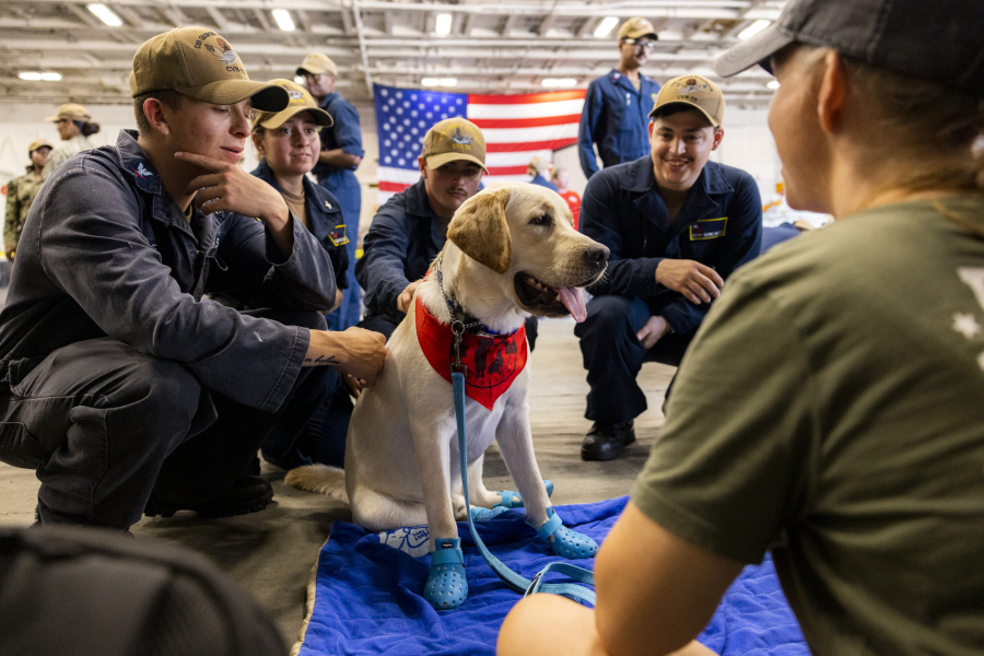 U.S. Navy Sailors hangout with a Mutts with a Mission service dog aboard the USS George Washington at Naval Station Norfolk on July 13.