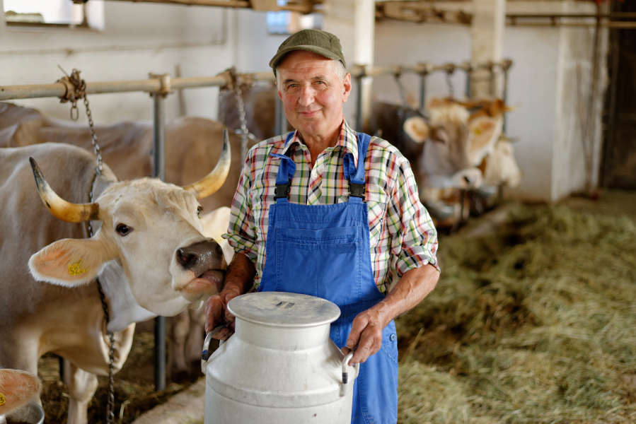 Lobbyists for the milk industry are pushing to bring whole milk back into the schools.