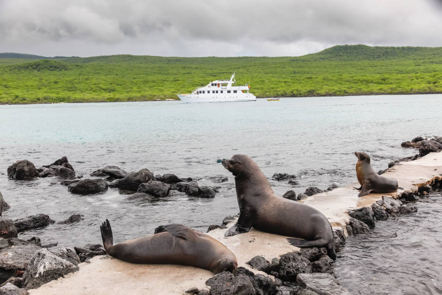 The best time to visit Galapagos Islands is from June to December during the dry season.