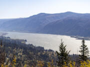 The Columbia River snakes through the Columbia River Gorge at Cape Horn Preserve in April.