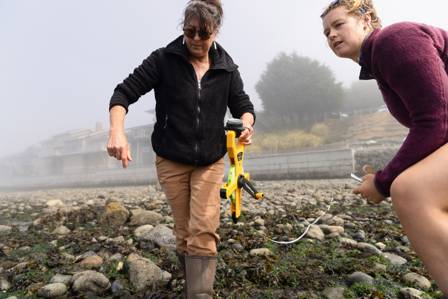 Amy Leitman, founder of MSA, left, and scientific diver Darby Flanagan lay a baseline with transit tape in Anacortes.