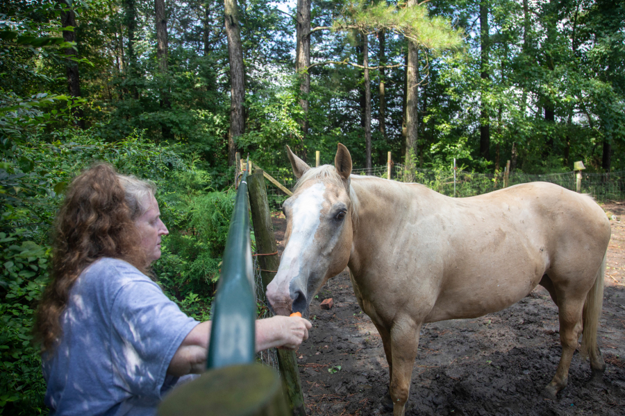 Debra Stewart feeds carrots to one of her horses at her home in Gray's Creek, N.C.