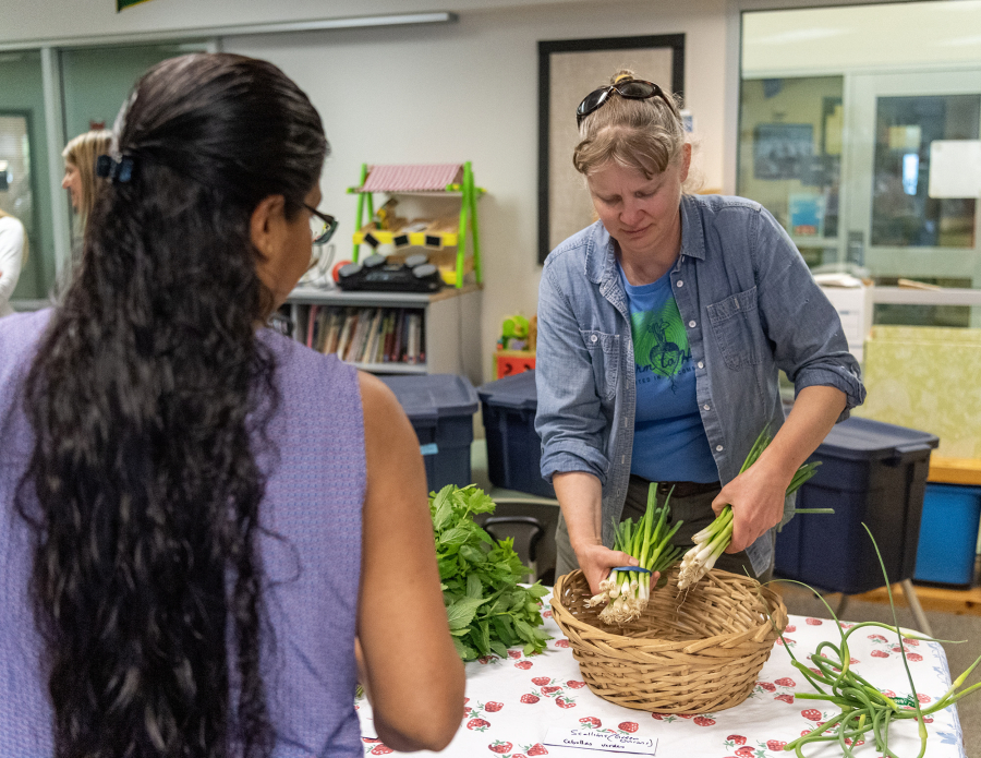 Farmer April Thatcher splits a bundle of green onions at Fruit Valley Elementary School. Farm to Heart distributes locally grown produce to 30 families in Vancouver.