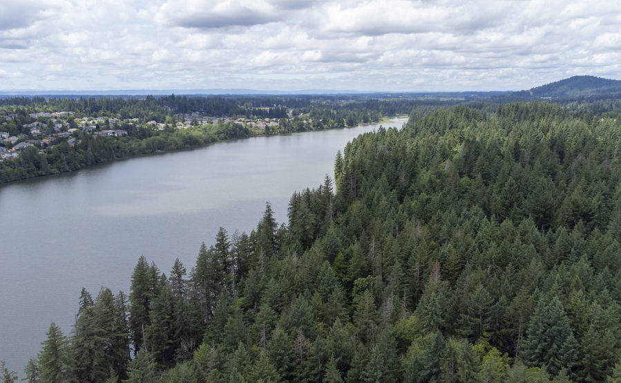 The north shore of Lacamas Lake, at right, will likely see some development soon. Now is the time for the public to comment on zoning and design standards developers must follow.