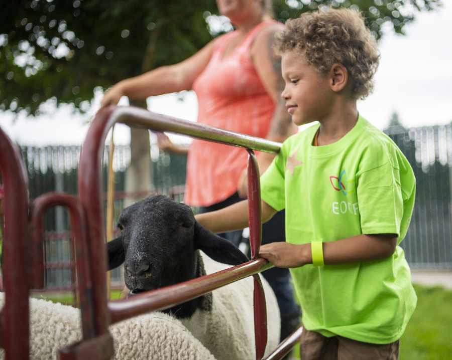 Zachariah Colston, right, pets a sheep during a recent field day at Educational Opportunities for Children and Families on MacArthur Boulevard.