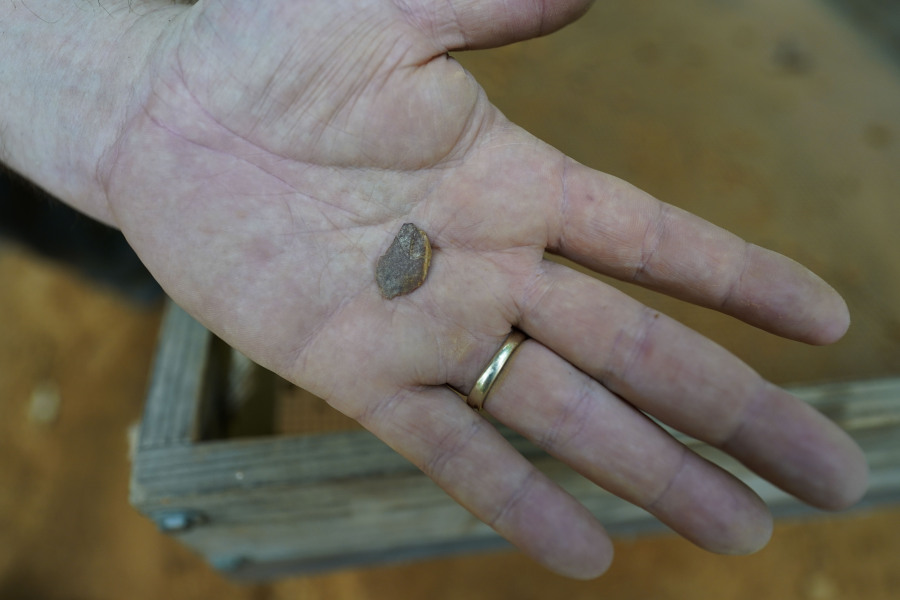 Conan Mills, a field technician for the University of Louisiana at Lafayette, shows a lithic flake, a piece of flint broken from a larger piece during the manufacture of tools, that he just found sifting at an archeological site in Kisatchie National Forest, La., Wednesday, June 7, 2023. This summer, archaeologists have been gingerly digging up the ground at the site in Vernon Parish to unearth and preserve the evidence of prehistoric occupation. The site was found by surveyors in 2003, according to the U.S. Forest Service. Hurricanes Laura and Delta uprooted trees and exposed some of the artifacts. Further damage has been done by looters making unauthorized digs. Forest officials say the site shows evidence of generations of people living in the area going back 12,000 years.