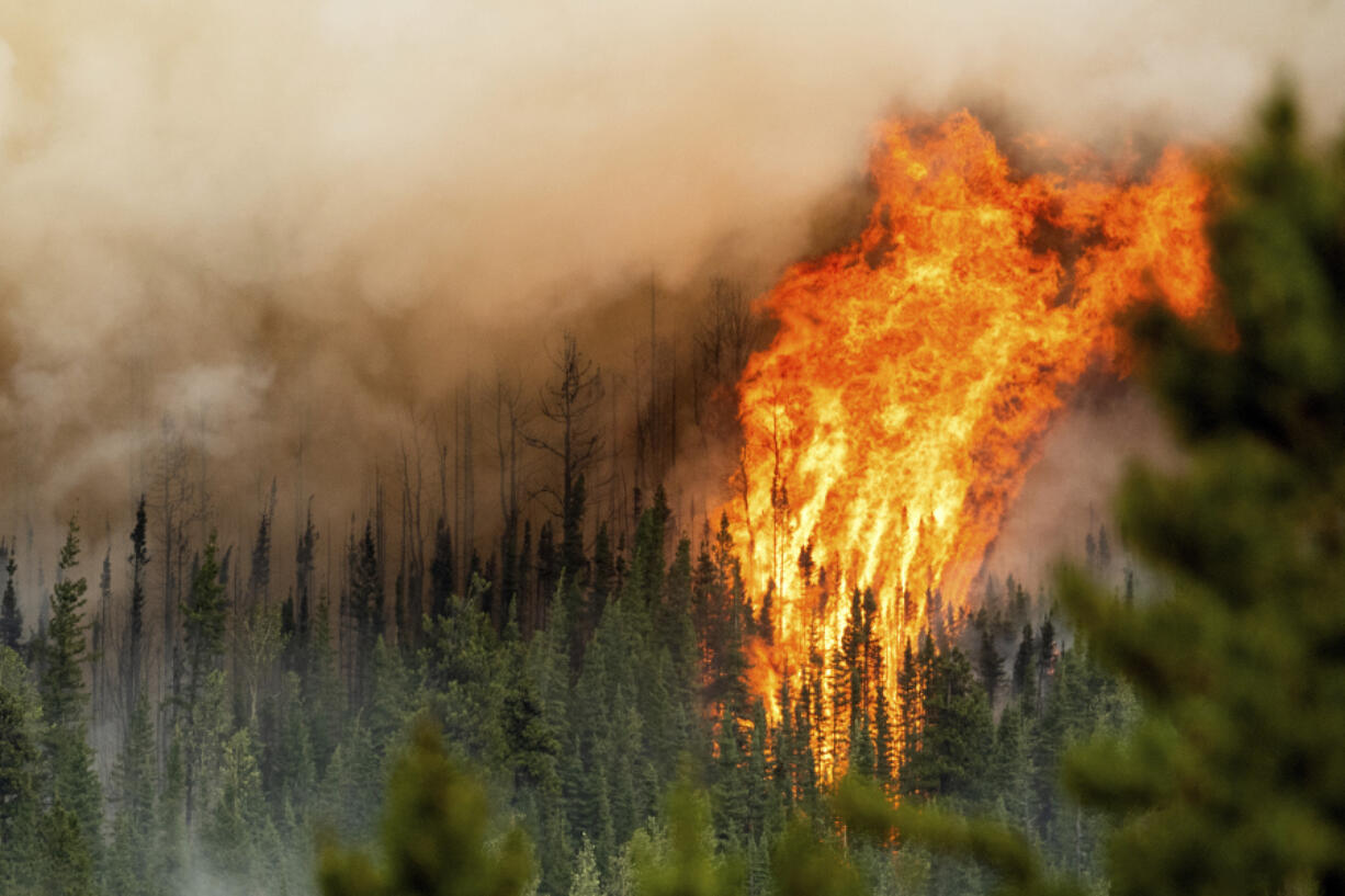 Flames from the Donnie Creek wildfire burn Sunday along a ridgetop north of Fort St. John, B.C.